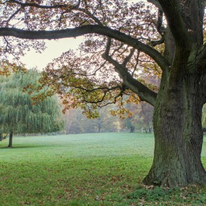 IMG_5753 (3)